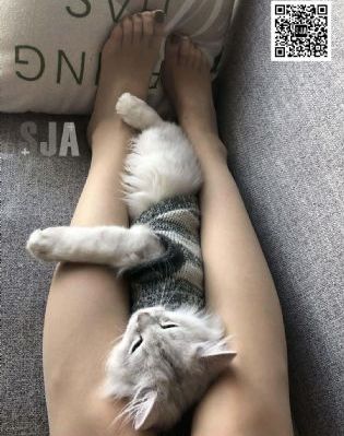 国产手机有什么品牌_超清在线观看高清